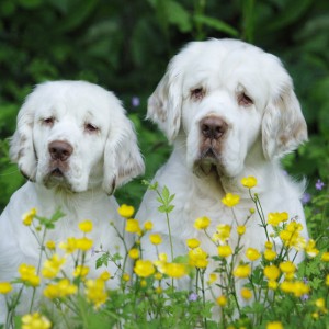 Darci & Matthew - June 2012