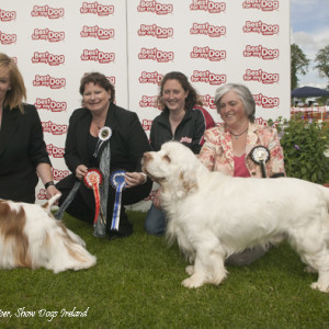 Group 2 - Sligo 2010