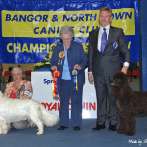 Group winner - Bangor 2010