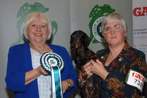 Dave wins BIS 4 at IKC International show Dave wins BIS 4 at IKC International show