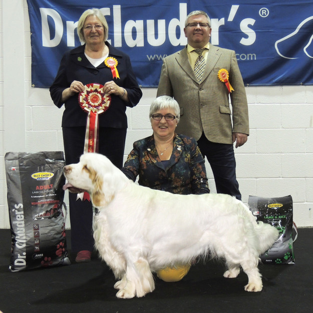 Supreme Winner – Gundog Classic 2015 Supreme Winner - Gundog Classic 2015
